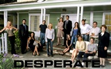 Desperate Housewives wallpaper #39