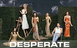 Desperate Housewives wallpaper #42