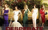 Desperate Housewives wallpaper #43