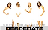 Desperate Housewives wallpaper #49