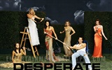 Desperate Housewives wallpaper #50