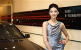 Beijing Auto Show (and far works) #15