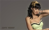 Katy Perry hermoso fondo de pantalla #9