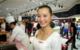 2010 Peking Mezinárodní Auto Show (Sunshine Beach práce) #2