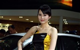 2010 Beijing International Auto Show (Sunshine Beach œuvres) #10