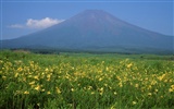 Mount Fuji, Japan Wallpaper (2) #5