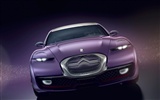 Special edition of concept cars wallpaper (13) #11