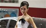 2010北京国際自動車ショーの美しさ (1) (風を追う動作の雲) #9