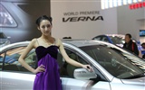 2010 Beijing International Auto Show de belleza (1) (el viento persiguiendo las nubes obras) #15