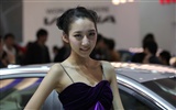 2010 v Pekingu Mezinárodním autosalonu krása (1) (vítr honí mraky práce) #21