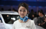 2010 Beijing International Auto Show beauty (1) (the wind chasing the clouds works) #22