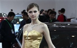 2010 Beijing International Auto Show de belleza (1) (el viento persiguiendo las nubes obras) #38