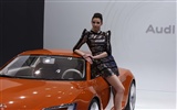 2010 Beijing International Auto Show beauty (2) (the wind chasing the clouds works) #5