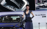 2010 Beijing International Auto Show beauty (2) (the wind chasing the clouds works) #9