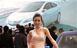 2010 Beijing International Auto Show beauty (2) (the wind chasing the clouds works) #15