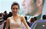 2010 Beijing International Auto Show beauty (2) (the wind chasing the clouds works) #16
