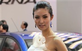 2010北京国際自動車ショーの美しさ (2) (風を追う動作の雲) #18