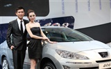 2010 v Pekingu Mezinárodním autosalonu krása (2) (vítr honí mraky práce) #36