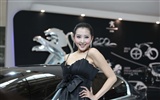 2010 Пекинском международном автосалоне красоты (2) (ветер в погоне за облака работ) #37