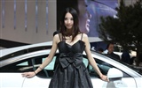 2010 Beijing International Auto Show beauty (2) (the wind chasing the clouds works) #38