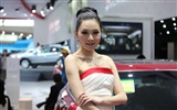 2010 v Pekingu Mezinárodním autosalonu krása (2) (vítr honí mraky práce) #39