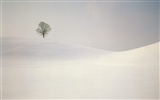 冬天雪景壁纸(二)17