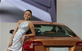 2010 Beijing Auto Salon de l'auto modèles de la collection (1) #9