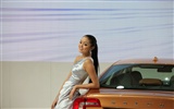 2010 Beijing Auto Show de coches modelos de la colección (1) #10