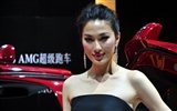 2010 Beijing Auto Show de coches modelos de la colección (1) #2
