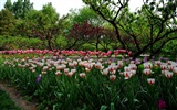 初夏的香山植物園 (螺紋鋼作品) #46150