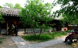 Xiangshan jardín principios del verano (obras barras de refuerzo) #18