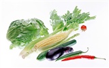 野菜の写真の壁紙 (2) #8