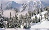 Snow wallpaper collection (1) #2