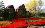 Xiangshan jardín de otoño (obras barras de refuerzo)