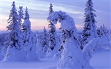 Snow wallpaper collection (4) #17