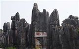 Bosque de Piedras de Yunnan en línea (1) (obras Khitan lobo) #7