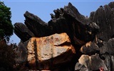 Bosque de Piedras de Yunnan en línea (1) (obras Khitan lobo) #15