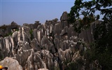 Bosque de Piedras de Yunnan en línea (1) (obras Khitan lobo) #20