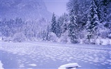 Snow wallpaper collection (5) #11