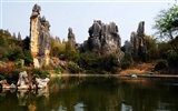 Каменный лес в провинции Юньнань линии (2) (работ киданей волка)