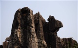 Каменный лес в провинции Юньнань линии (2) (работ киданей волка) #3