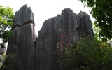 Forêt de pierre dans la ligne du Yunnan (2) (œuvres loup Khitan) #9