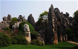 Каменный лес в провинции Юньнань линии (2) (работ киданей волка) #49085