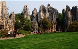 Каменный лес в провинции Юньнань линии (2) (работ киданей волка) #21