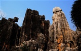 Каменный лес в провинции Юньнань линии (2) (работ киданей волка) #22