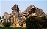 Каменный лес в провинции Юньнань линии (2) (работ киданей волка) #26