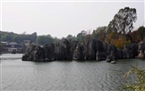Каменный лес в провинции Юньнань линии (2) (работ киданей волка) #30
