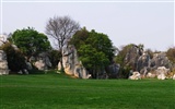 Каменный лес в провинции Юньнань линии (2) (работ киданей волка) #34