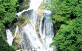 Waterfall streams wallpaper (1)