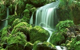 Waterfall-Streams Wallpaper (2) #14